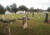 Those Places Thursday | Temperanceville Cemetery Temperanceville Cemetery at Bathurst and King in Oak Ridges
