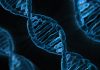 Surprise! My Ancestry DNA Results Ancestry DNA
