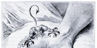 The Insurance Cyclopeadia The Insurance Cyclopeadia on Google Books