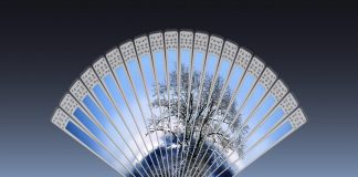 Friends, Neighbours and Acquaintances – FAN Fact in Roots Magic FAN Fact in Roots Magic