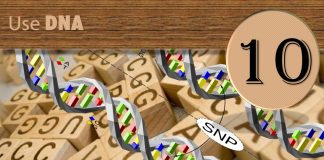 Step Ten: DNA Research Step Ten: DNA Research