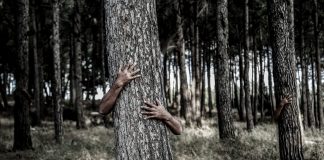 Hide and Seek: Come Out Come Out Wherever You Are